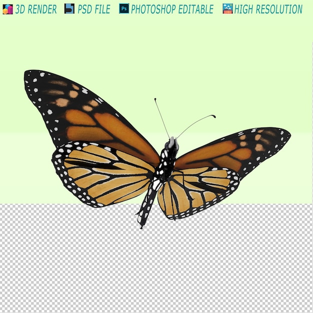 Schmetterling 3D-PSD-Datei