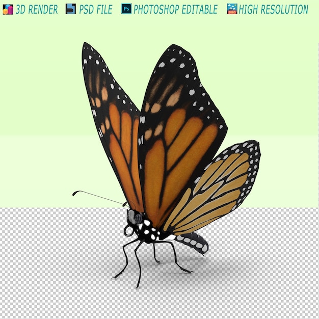Schmetterling 3D-PSD-Datei