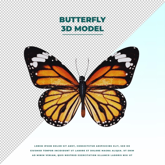 Schmetterling
