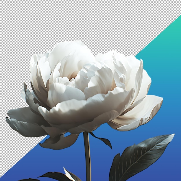 Schöne Blume PNG