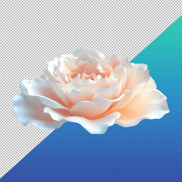 Schöne Blume PNG