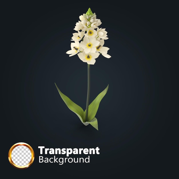 Schöne Blumenpflanze mit einer modernen Vase in 3D-Rendering isoliert mit einer transparenten Schicht
