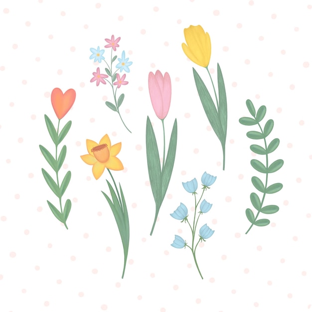 Schöne Frühlingsblumen
