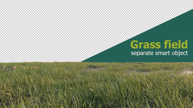Schöne Grasblumen-Hintergrundisolette