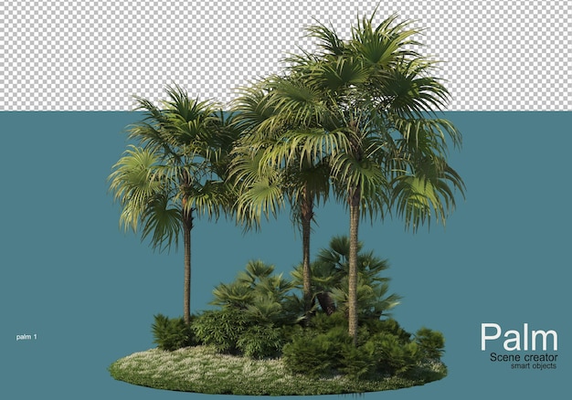 Schöne kleine Palmenplantage Rendering