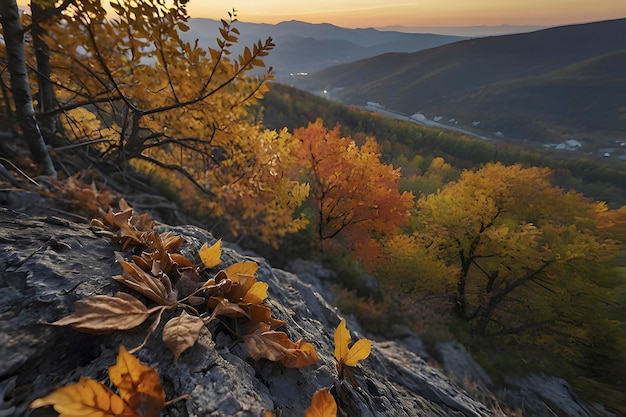 Schöne landschaft mit bergen und wäldern im herbst