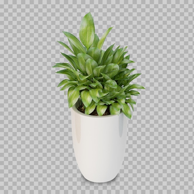 Schöne Pflanze im Topf in 3D-Rendering isoliert
