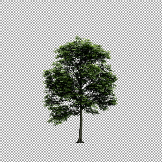 Schöne Pflanze in 3D-Rendering isoliert