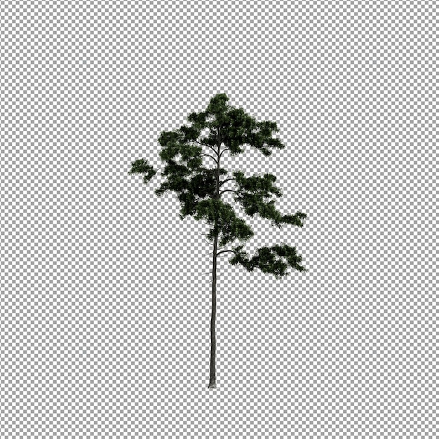 Schöne Pflanze in 3D-Rendering isoliert