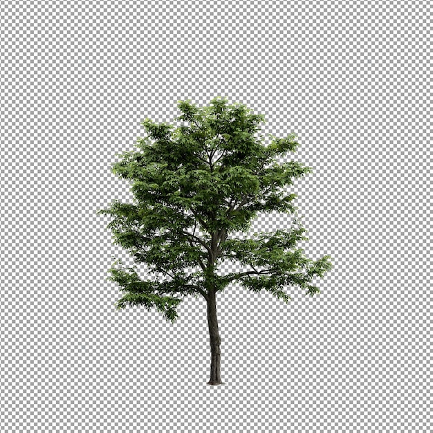 Schöne Pflanze in 3D-Rendering isoliert