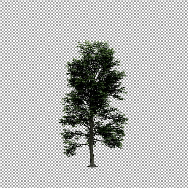Schöne Pflanze in 3D-Rendering isoliert