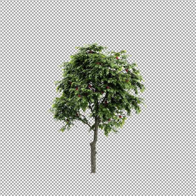 Schöne Pflanze in 3D-Rendering isoliert