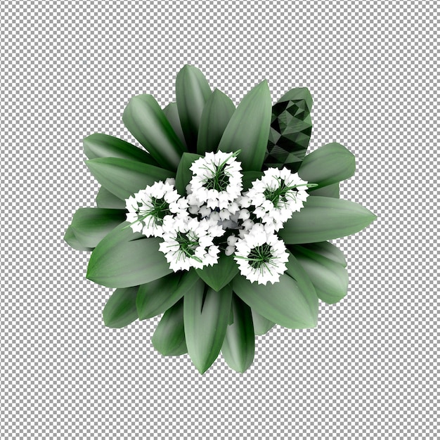 Schöne Pflanze in 3D-Rendering isoliert