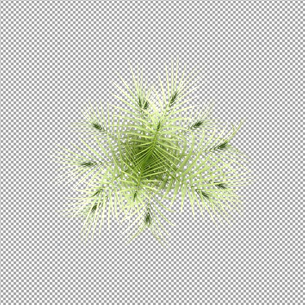 Schöne Pflanze in 3D-Rendering isoliert