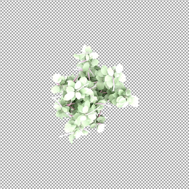 Schöne Pflanze in 3D-Rendering isoliert