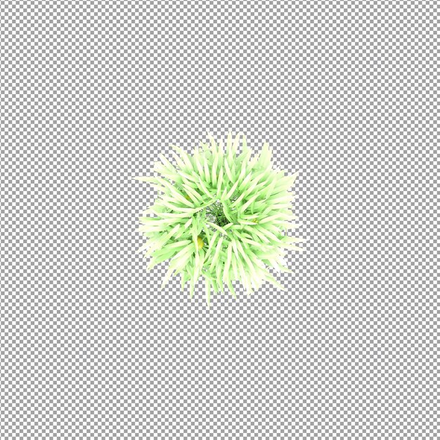 Schöne Pflanze in 3D-Rendering isoliert