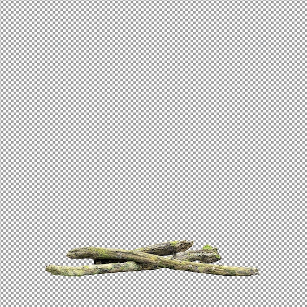 Schöne Pflanze in 3D-Rendering isoliert