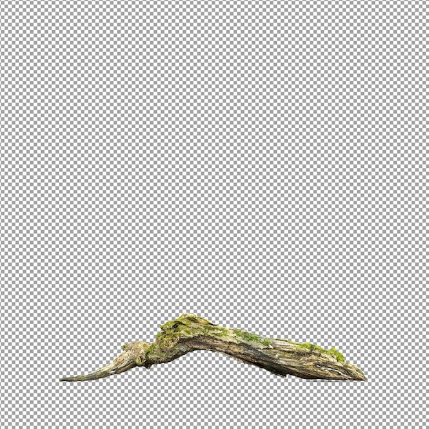 Schöne Pflanze in 3D-Rendering isoliert