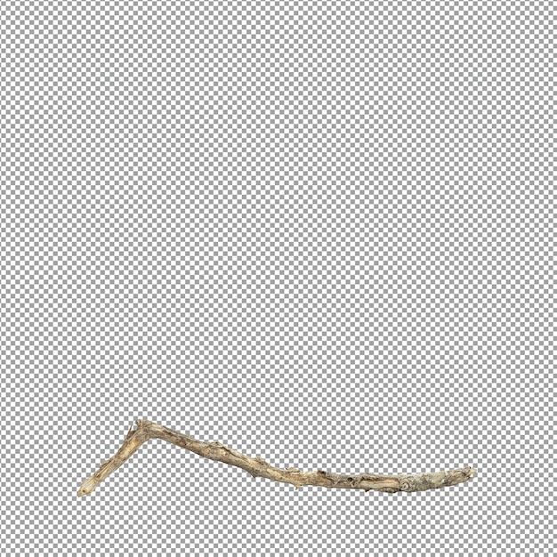Schöne Pflanze in 3D-Rendering isoliert