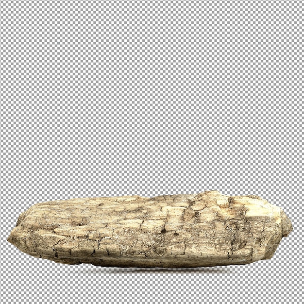 Schöne Pflanze in 3D-Rendering isoliert