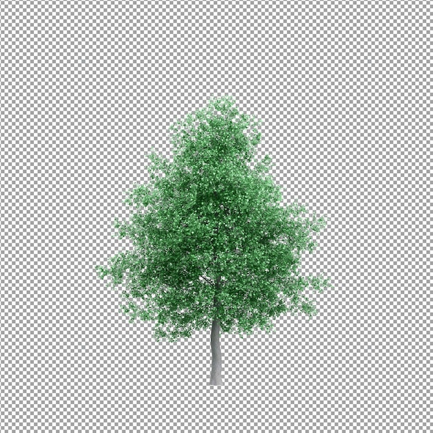Schöne Pflanze in 3D-Rendering isoliert