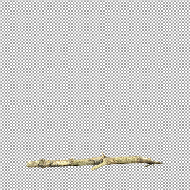 Schöne Pflanze in 3D-Rendering isoliert