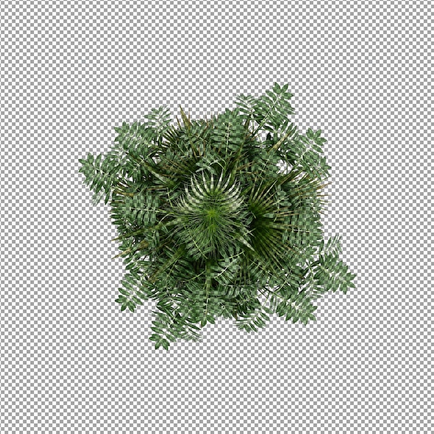 Schöne Pflanze in 3D-Rendering isoliert