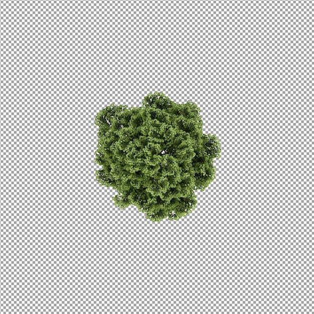Schöne Pflanze in 3D-Rendering isoliert