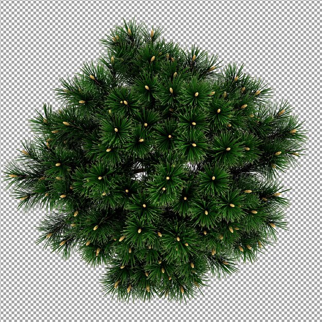 Schöne Pflanze in 3D-Rendering isoliert