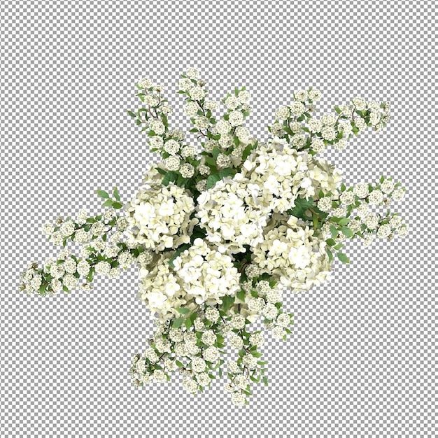 Schöne Pflanze in 3D-Rendering isoliert