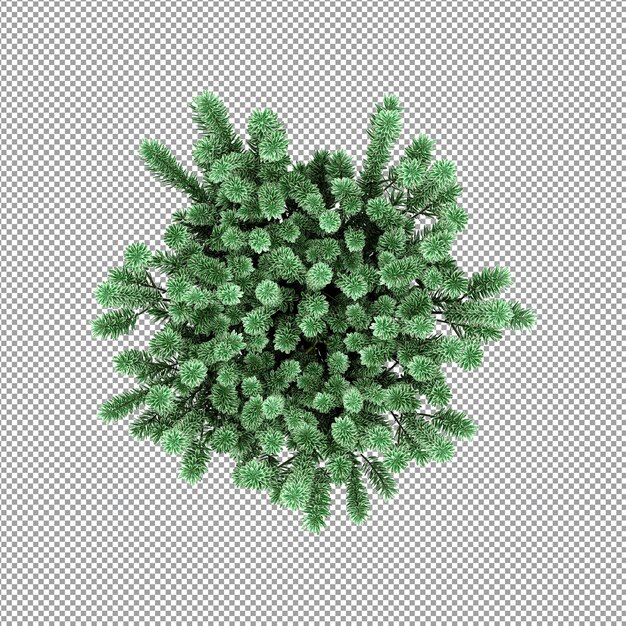 Schöne Pflanze in 3D-Rendering isoliert