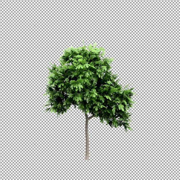 Schöne Pflanze in 3D-Rendering isoliert
