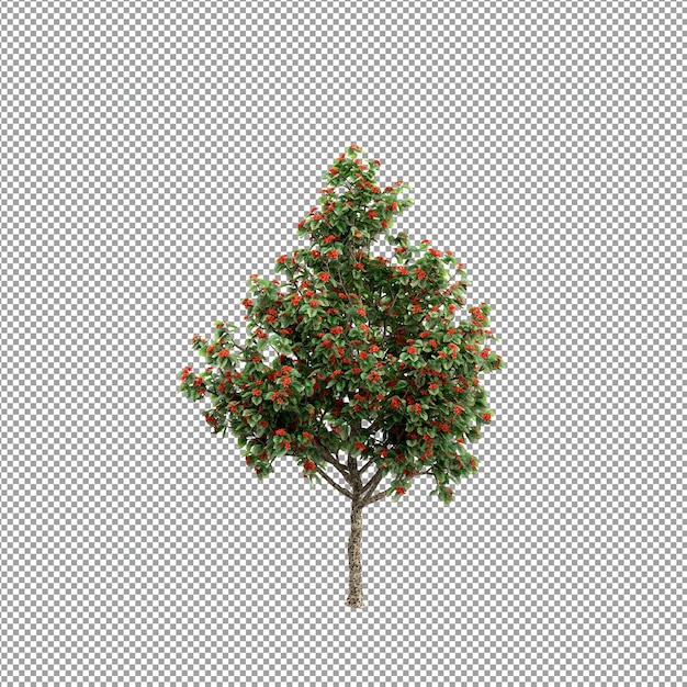 Schöne Pflanze in 3D-Rendering isoliert