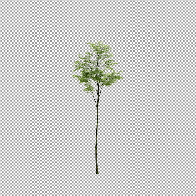 Schöne Pflanze in 3D-Rendering isoliert