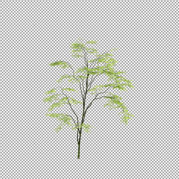 Schöne Pflanze in 3D-Rendering isoliert