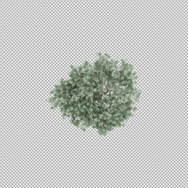 Schöne Pflanze in 3D-Rendering isoliert