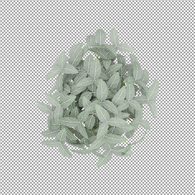 Schöne Pflanze in 3D-Rendering isoliert