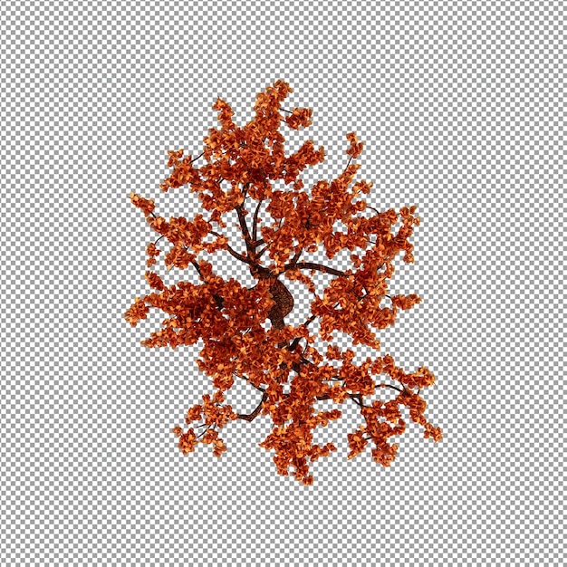 Schöne Pflanze in 3D-Rendering isoliert