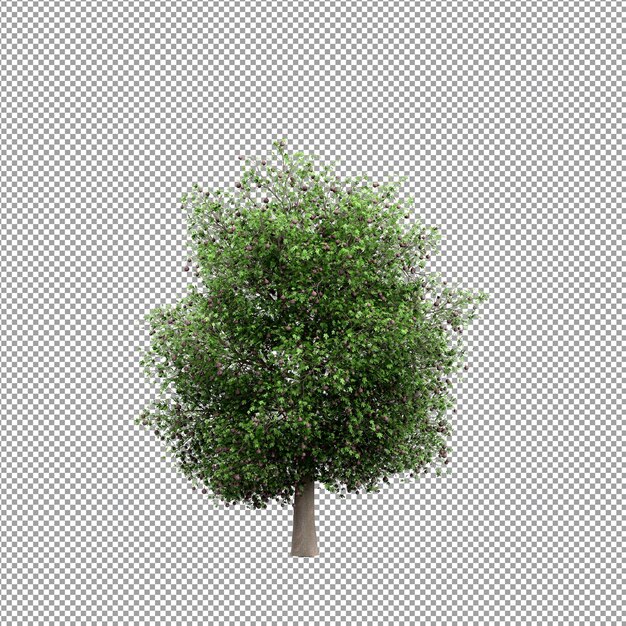 Schöne Pflanze in 3D-Rendering isoliert