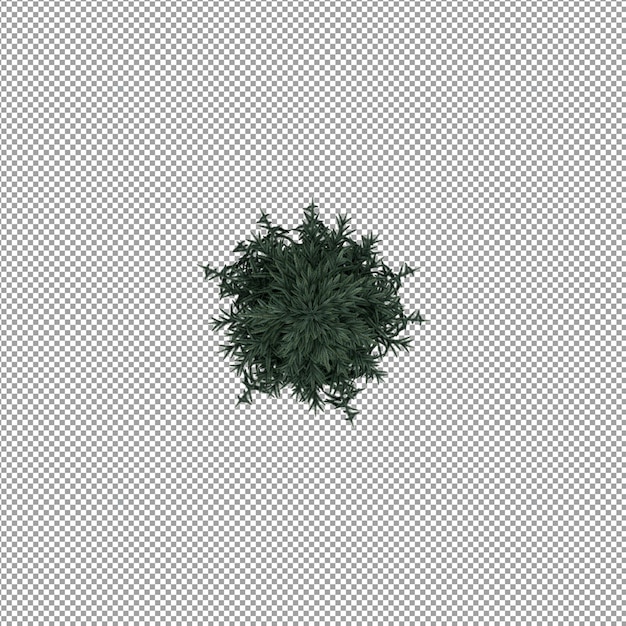 Schöne Pflanze in 3D-Rendering isoliert