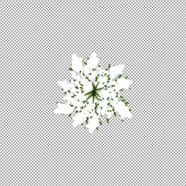 Schöne Pflanze in 3D-Rendering isoliert