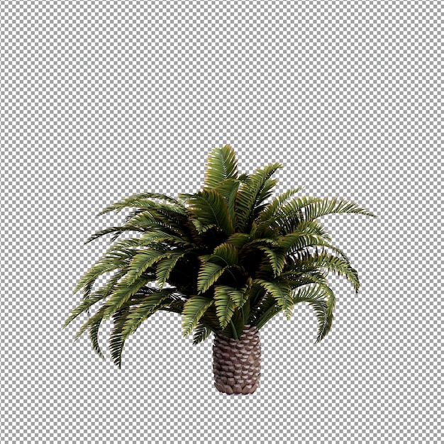 Schöne Pflanze in 3D-Rendering isoliert