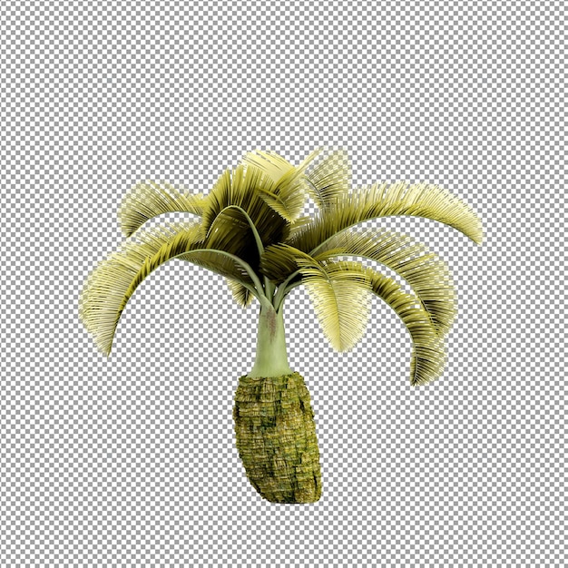 Schöne Pflanze in 3D-Rendering isoliert
