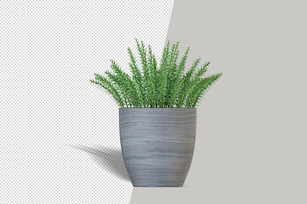 Schöne Pflanze in Vase 3d Rendering