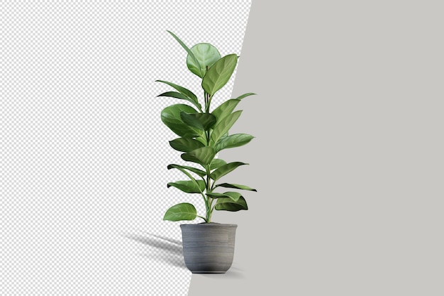 Schöne Pflanze in Vase 3d Rendering