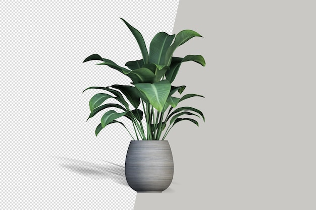 Schöne Pflanze in Vase 3d Rendering