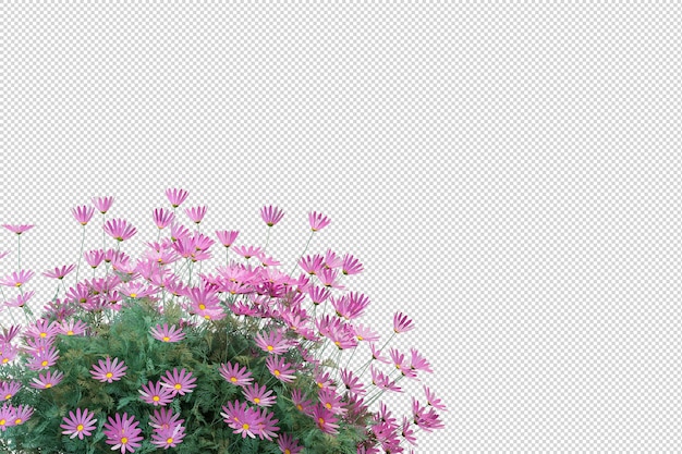 Schöne verschiedene Arten von Blumen in 3D-Rendering isoliert