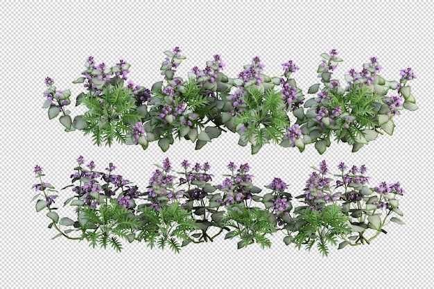 Schöne verschiedene Arten von Blumen in 3D-Rendering isoliert