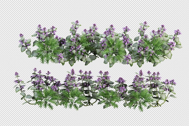 Schöne verschiedene arten von blumen in 3d-rendering isoliert