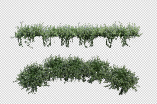 Schöne verschiedene Arten von Blumen in 3D-Rendering isoliert